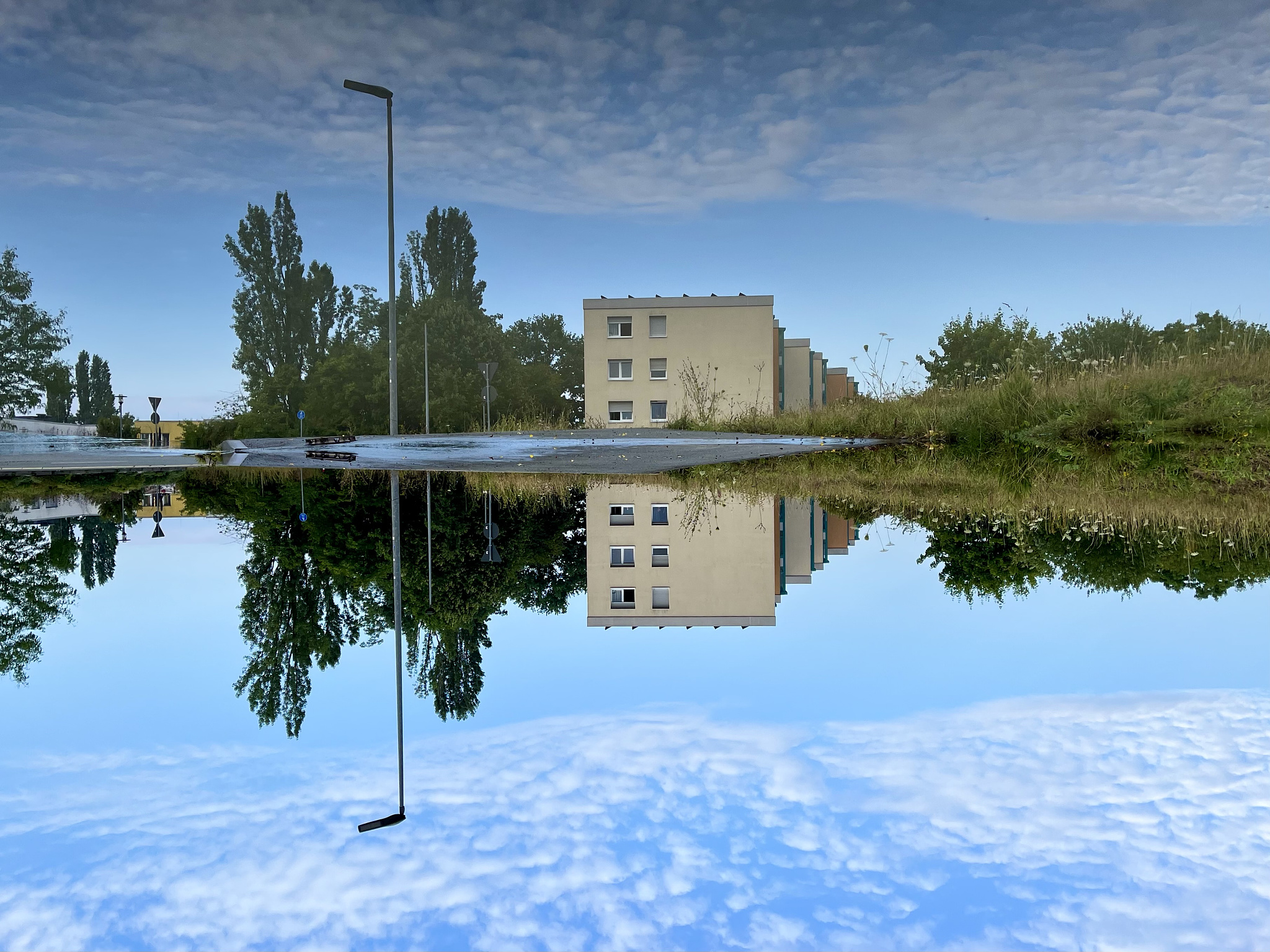 Trees, bushes, a street light and a 3-storey yellow building, all reflected in a puddle on the street. Light blue sky with wihte clouds. The whole picture is turned upside down. 