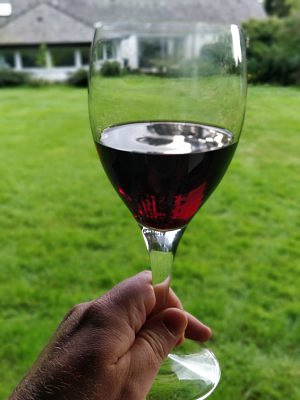 My hand holding up a glass of red wine.  In the background is a green lawn, with the house in the distance