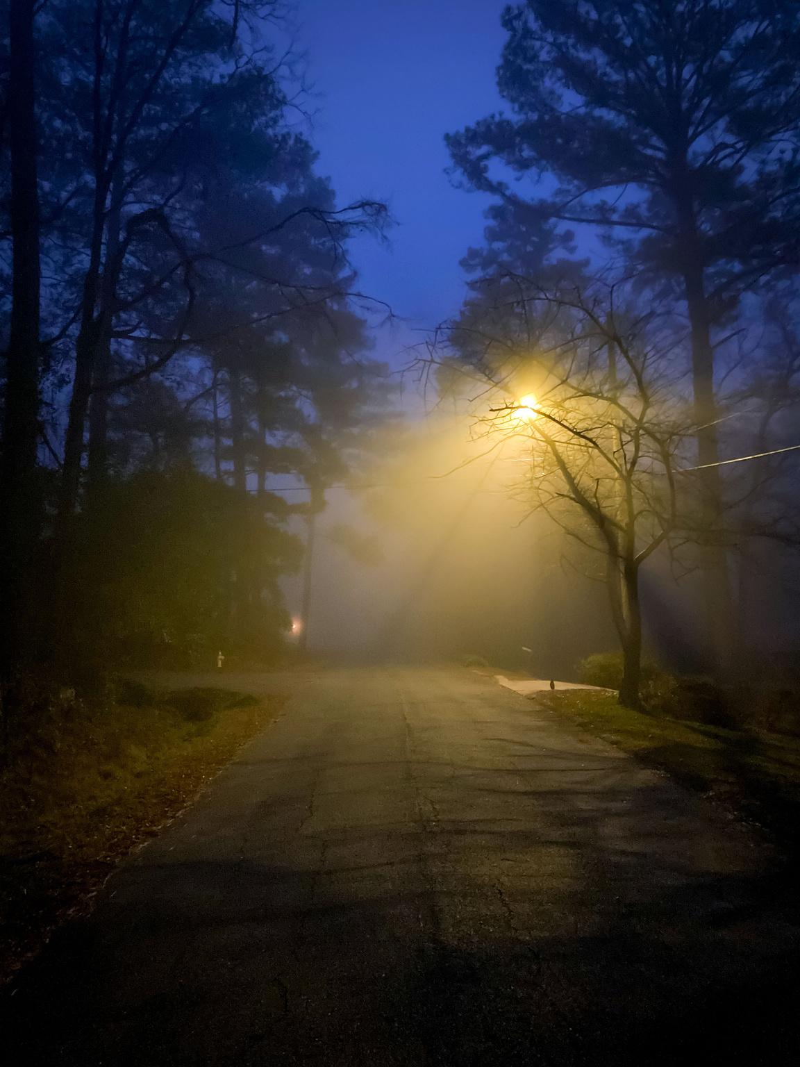 Street light glowing against a foggy morning sky.