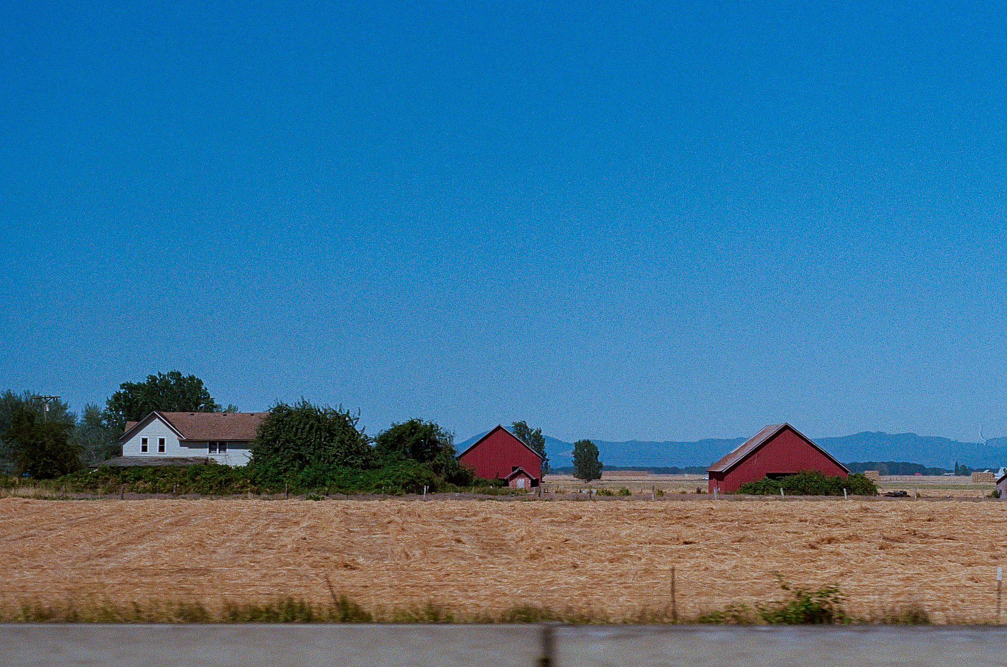 Red barns and white farmhouses against a blue sky