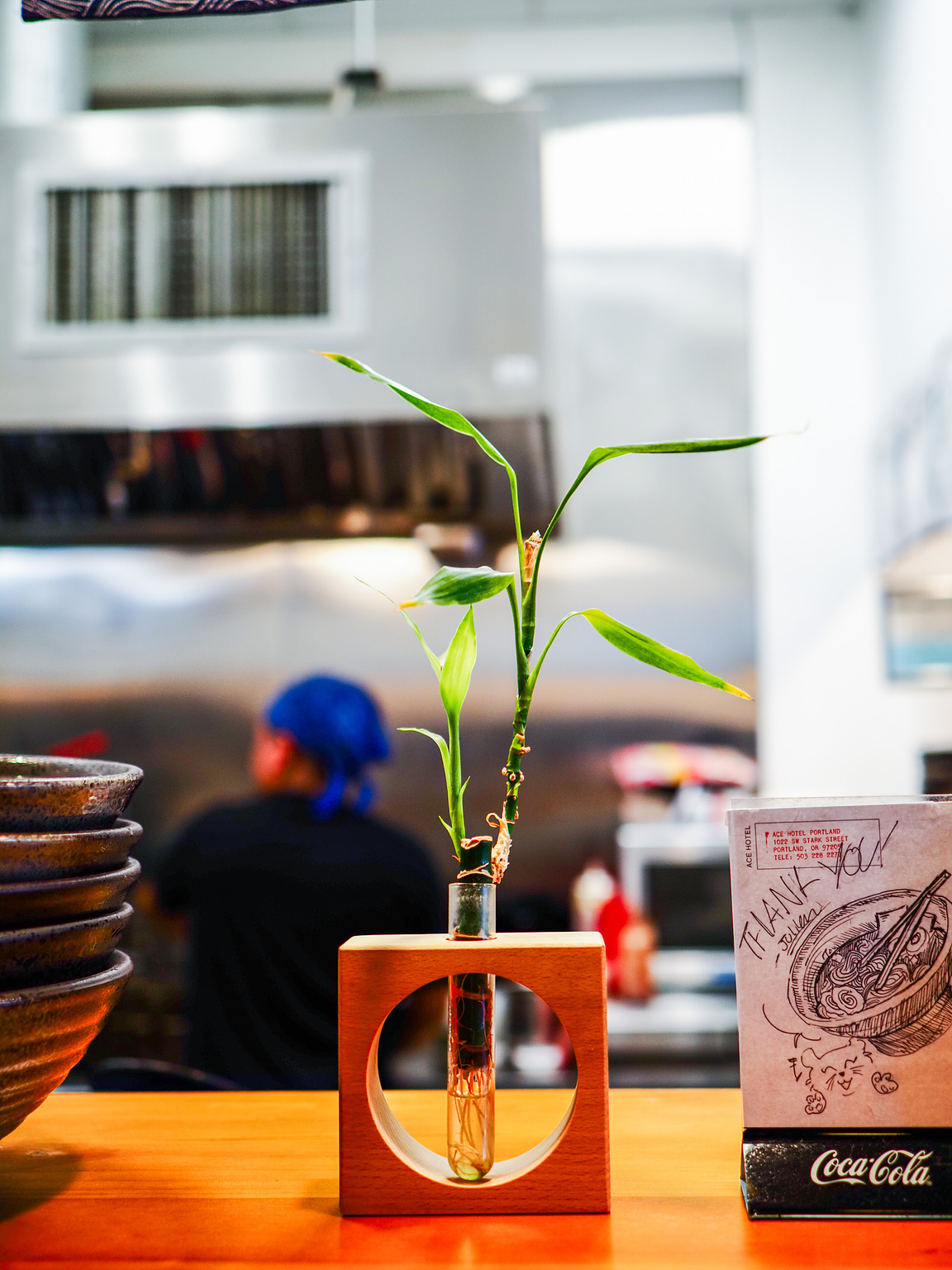 A lucky bamboo in a beaker in a wooden stand