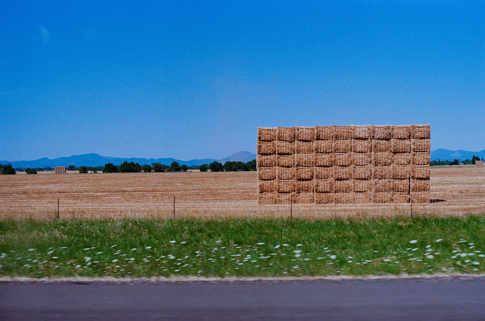 Bails of hay against green grass and blue sky in a yellow field. 