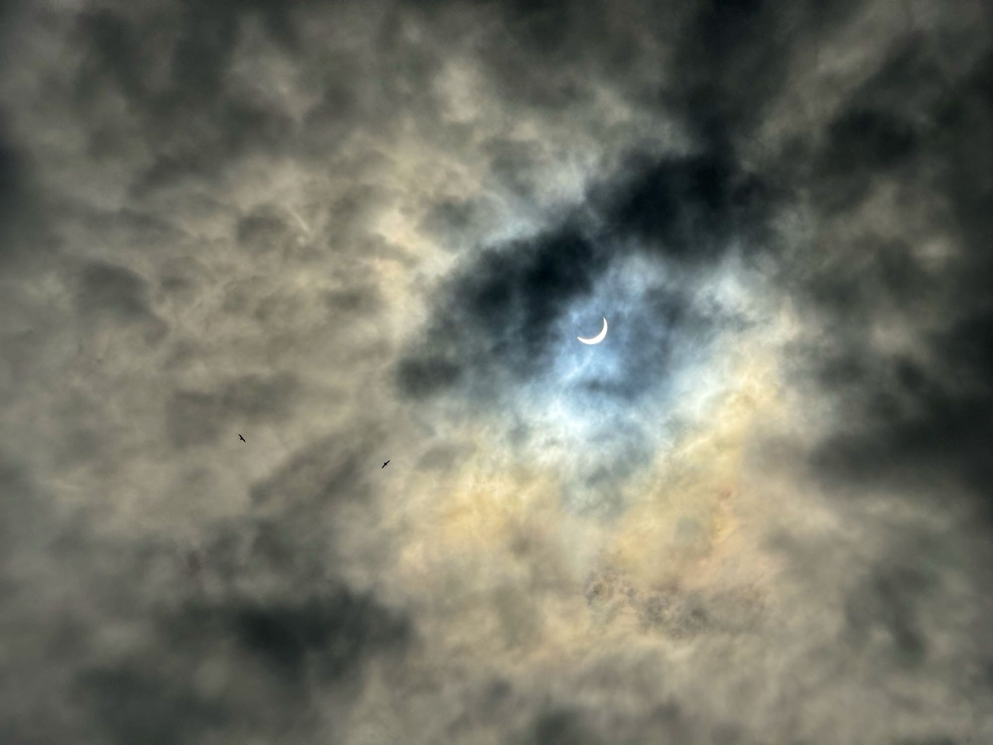 The total solar eclipse on April 8th, 2024, seen through a break in the cloud cover as a small flock of crows circles high up in the sky.