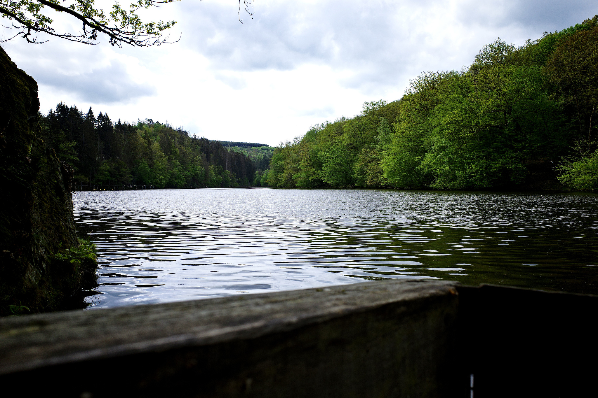 Zicht op Lac de Nisramont van één van de laagste punten