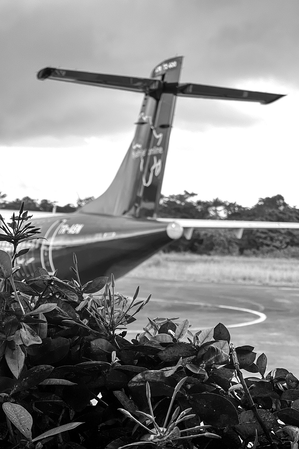 Aiplane tail, and flowers. 