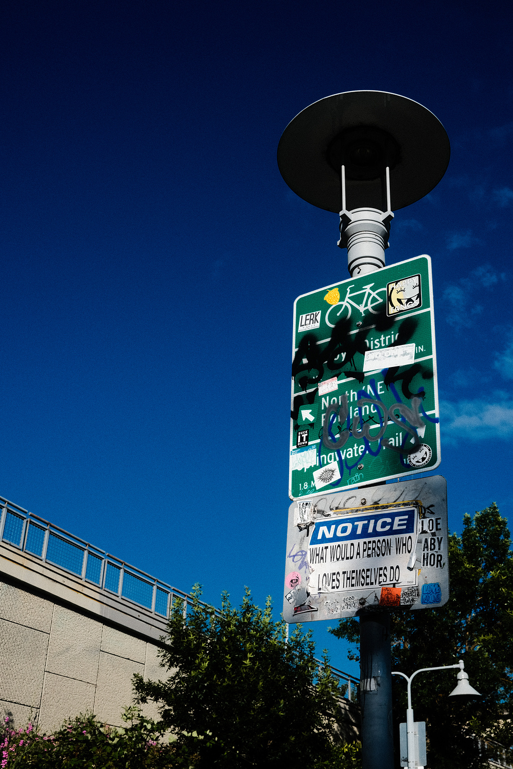 A sign on a light post that reads "Notice: What would a person who loves themself do?" 