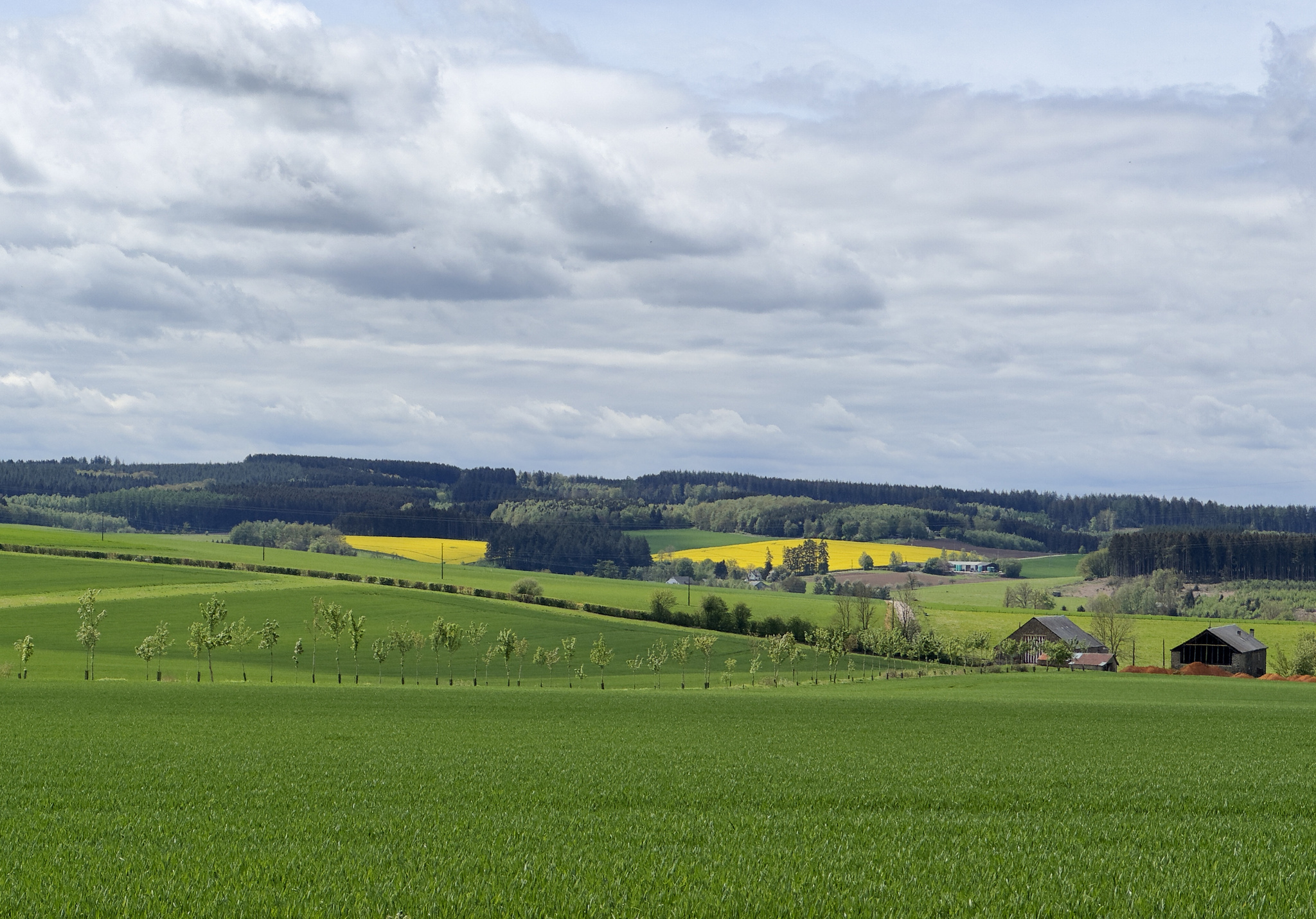 Een vergezicht: groene en gele velden.