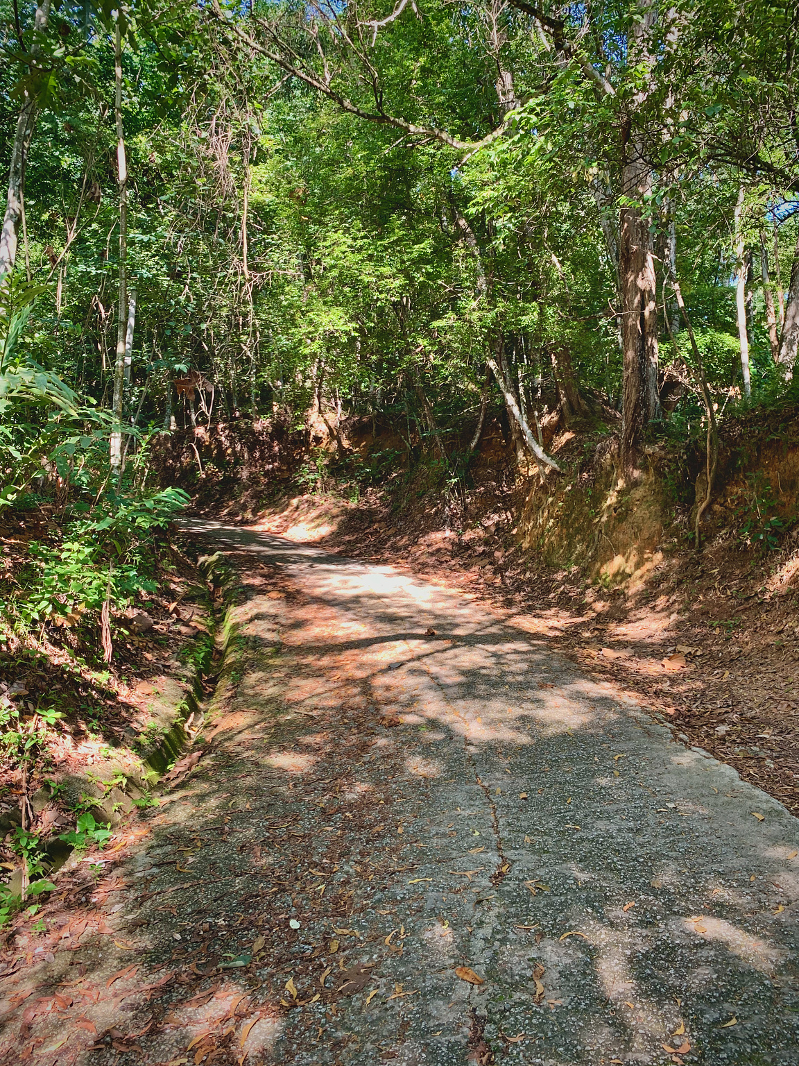 A cemented path going up the hill