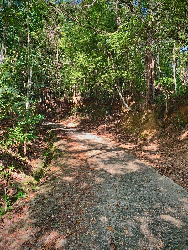 A cemented path going up the hill