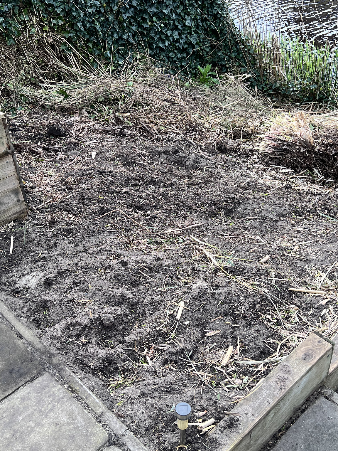 Giant root - Be Gone!