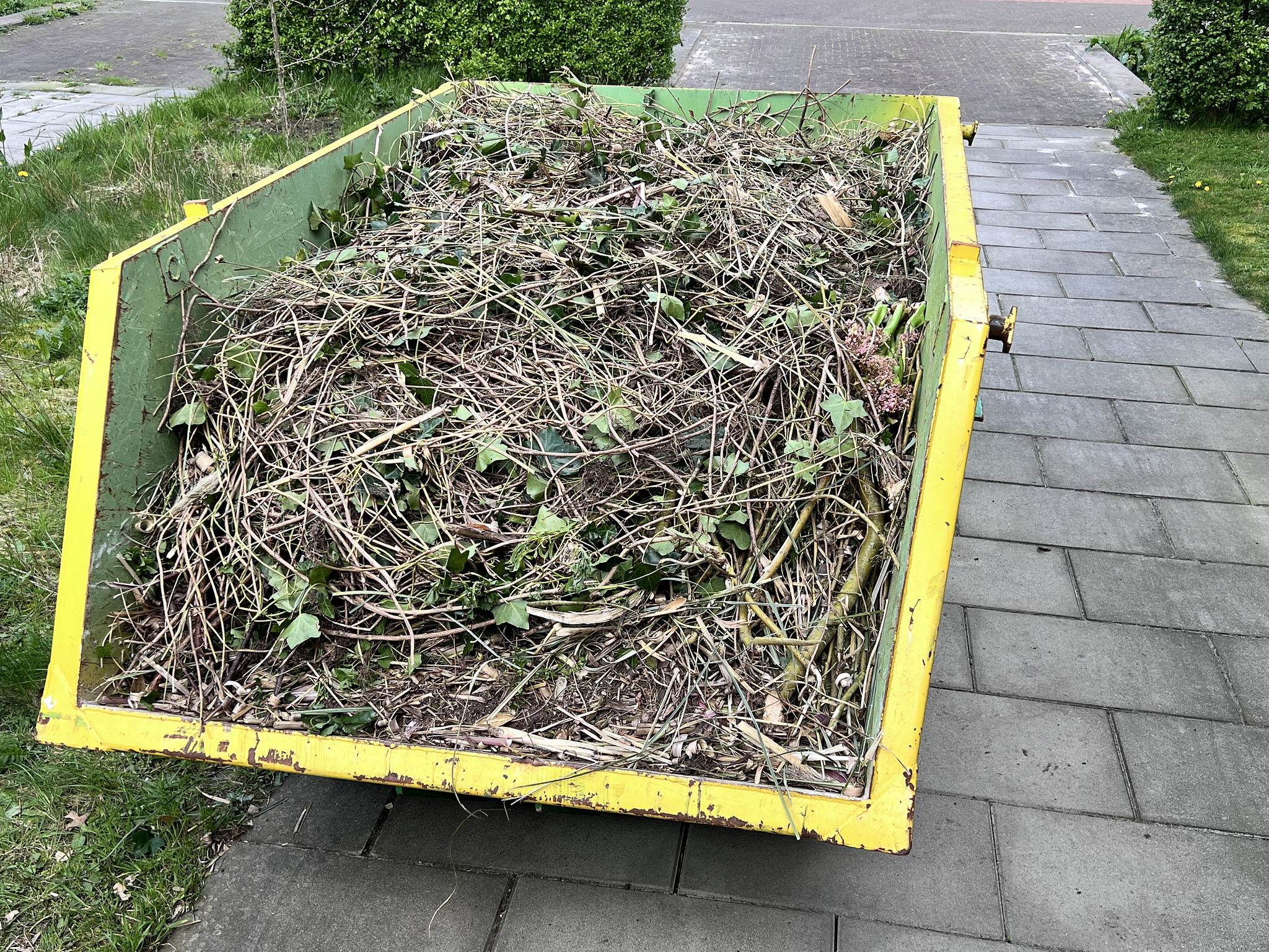 Container full of garden waste