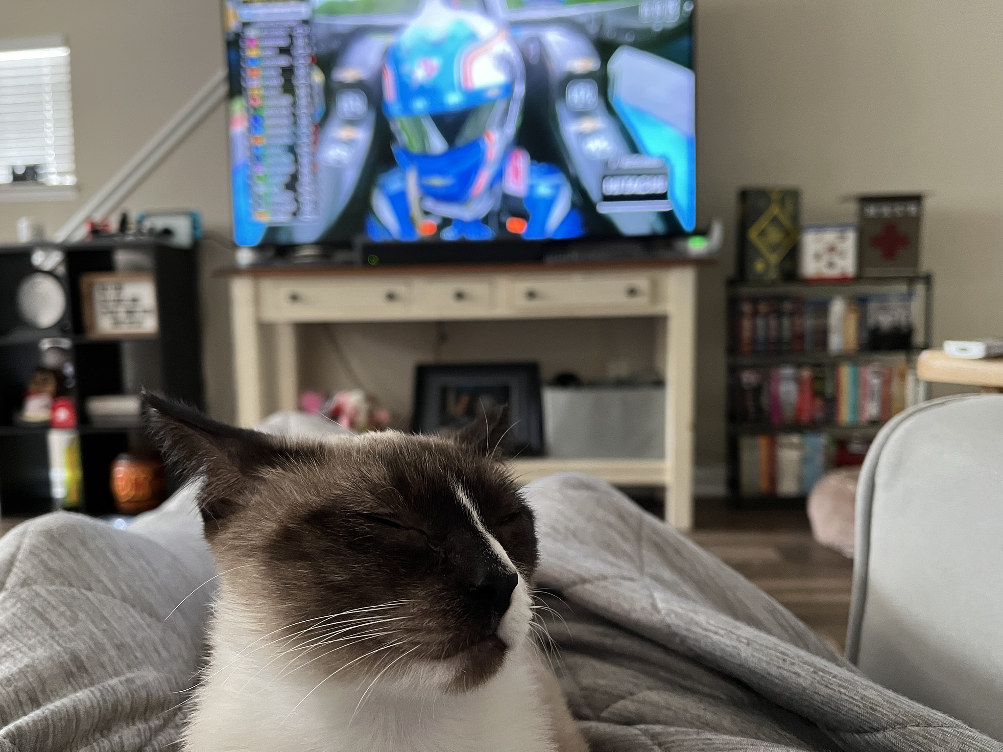 The kitty and I watching a little IndyCar