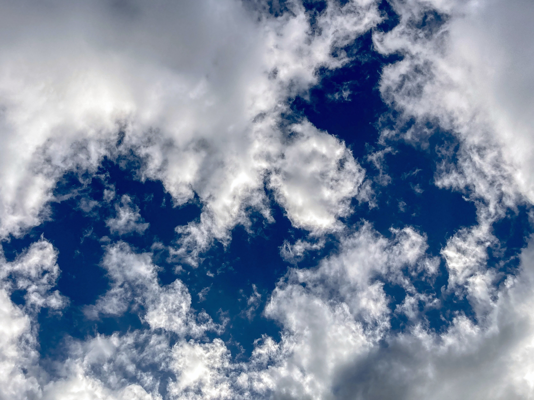 Whispy white clouds against a deep blue sky.﻿