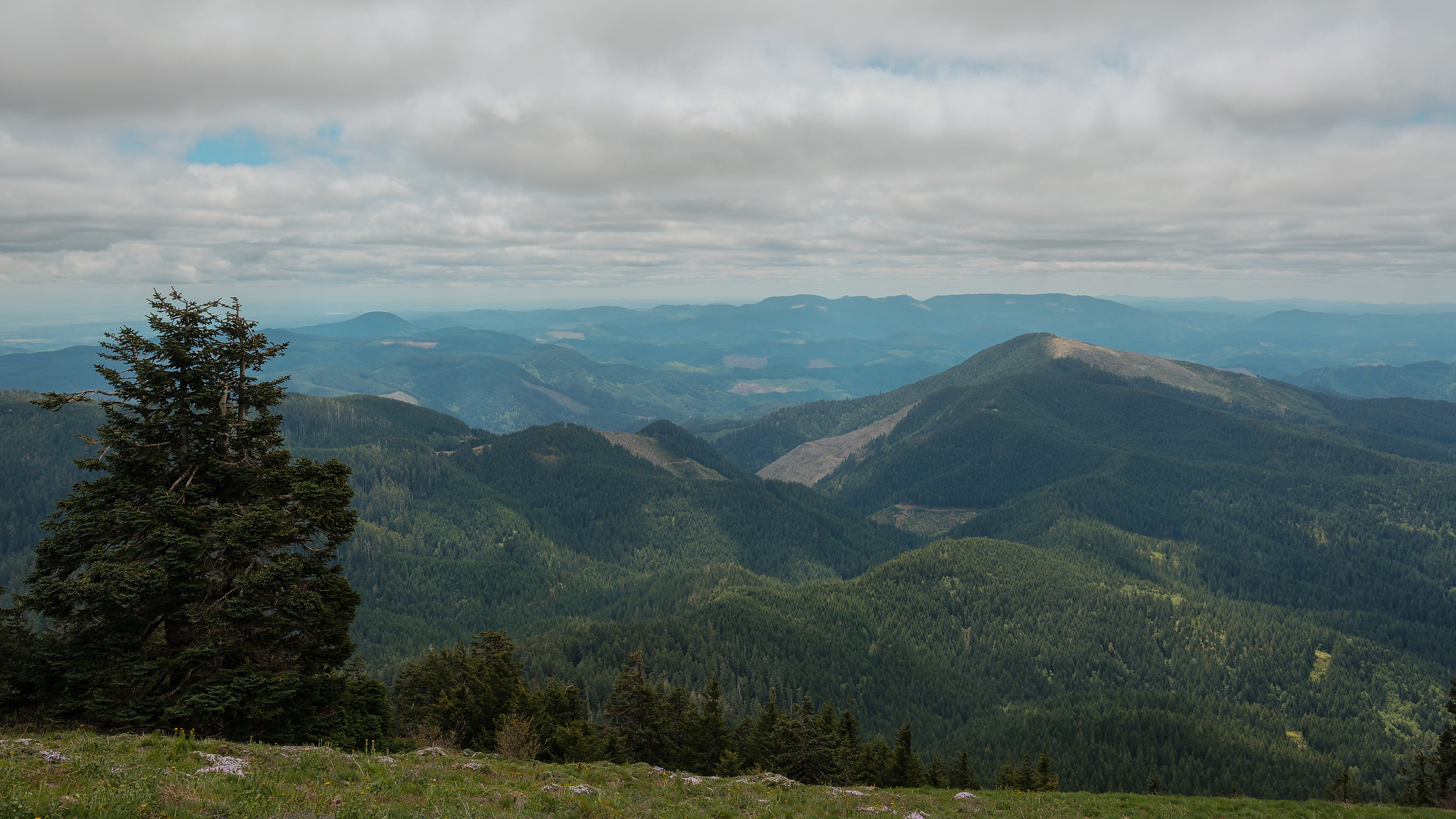 Shot from the top of a 4000-foot elevation, with rolling hills going back to the horizon. 