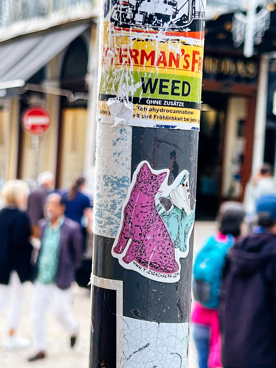 A pink cat sticker. 