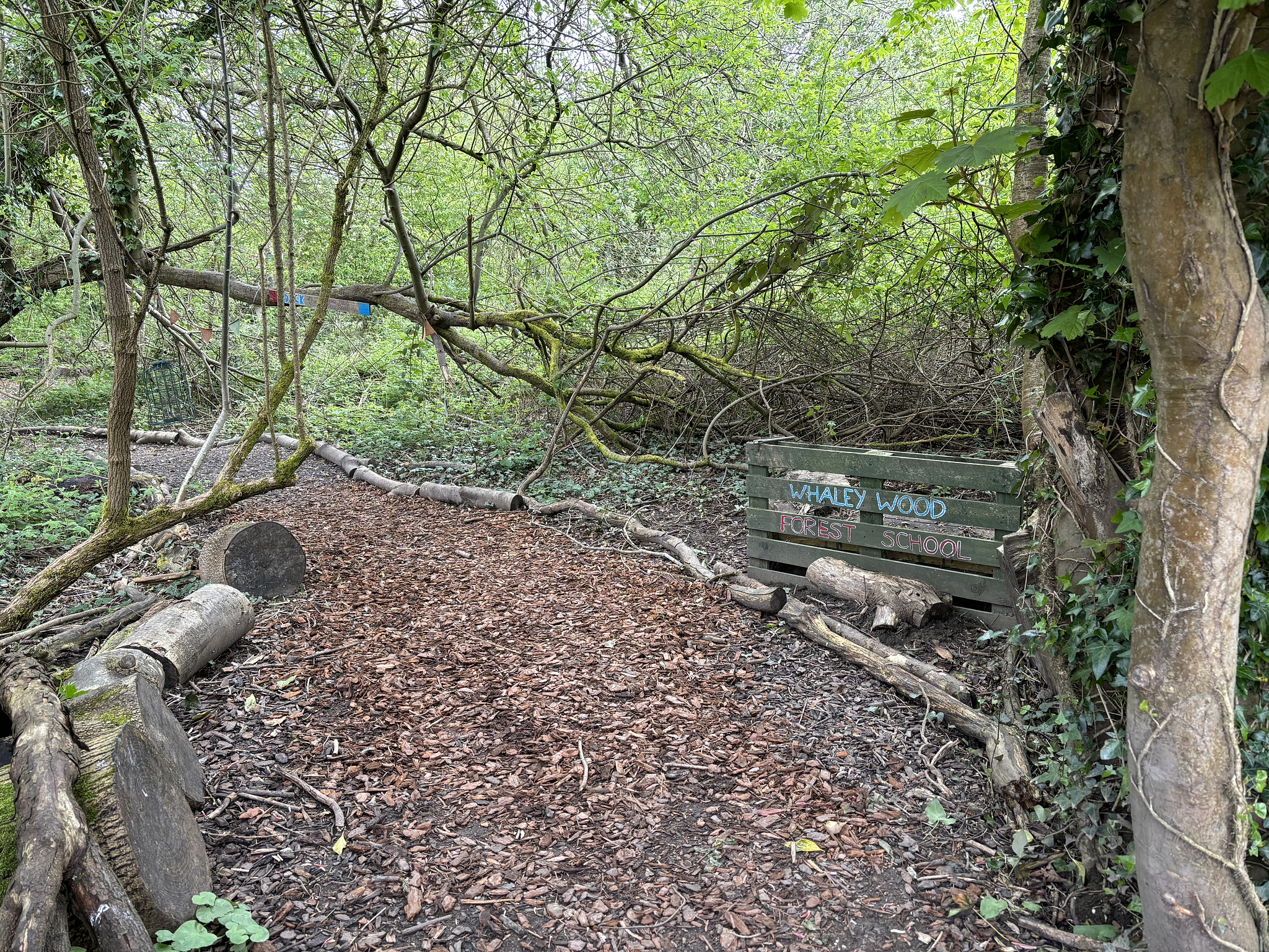 The hidden garden for a local school.