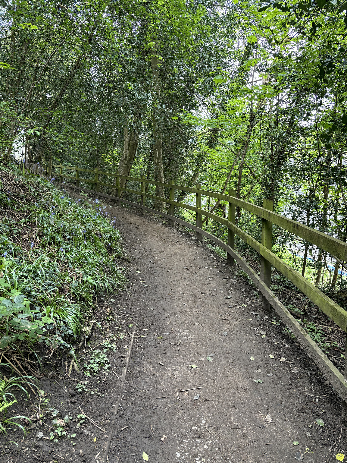 The long, uphill path to the skate park.