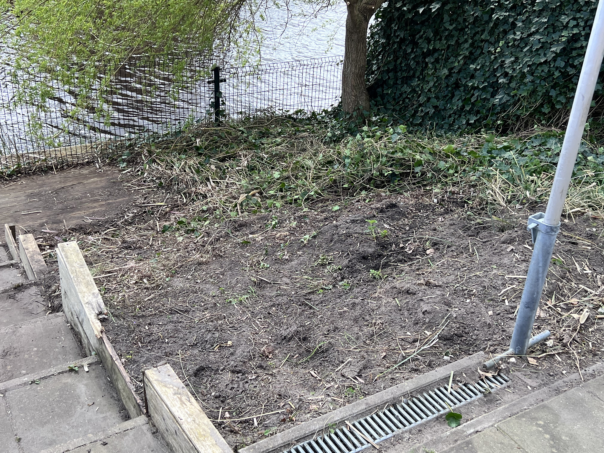 Garden waste gone, only hedges roots left