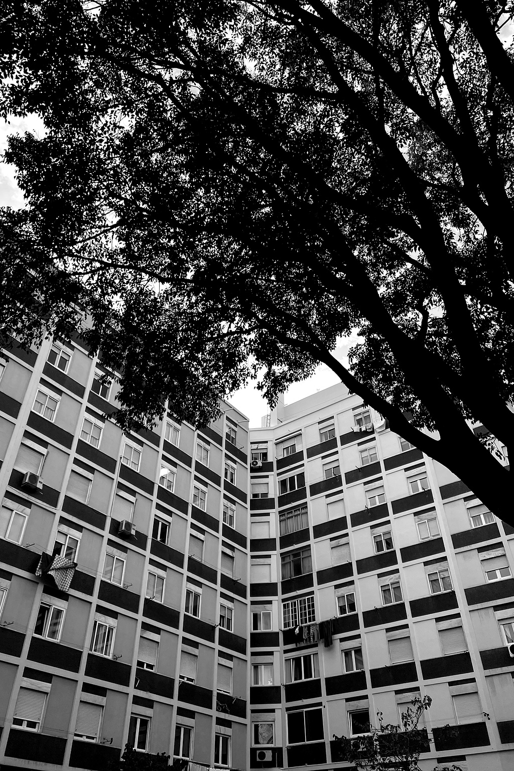 A building, with a tree. 