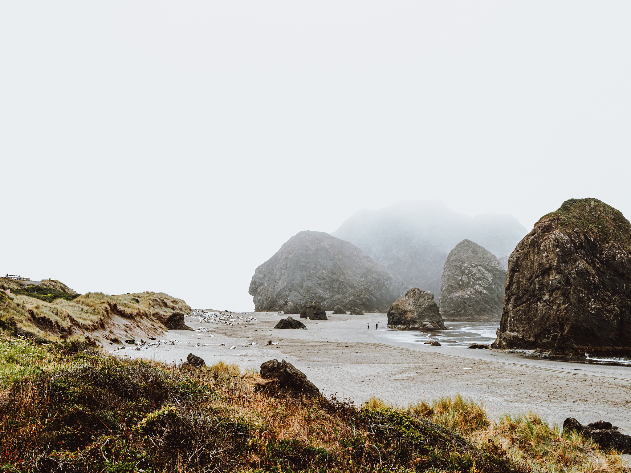 Huge ocean rocks on a foggy beach