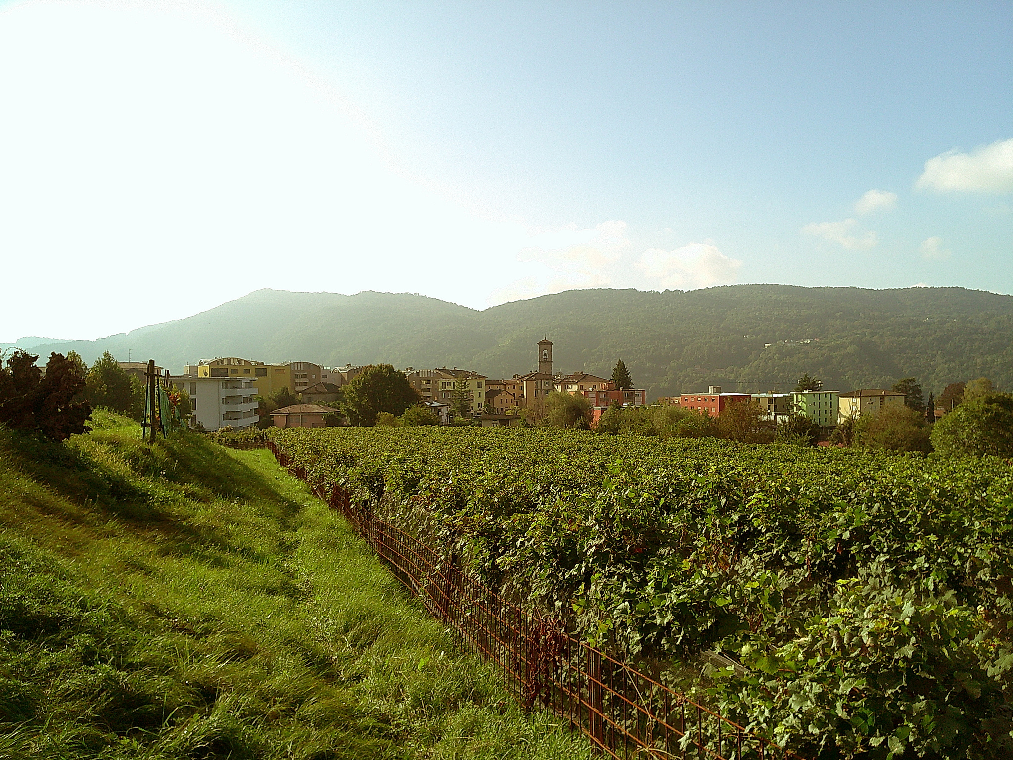 panorama of the countryside