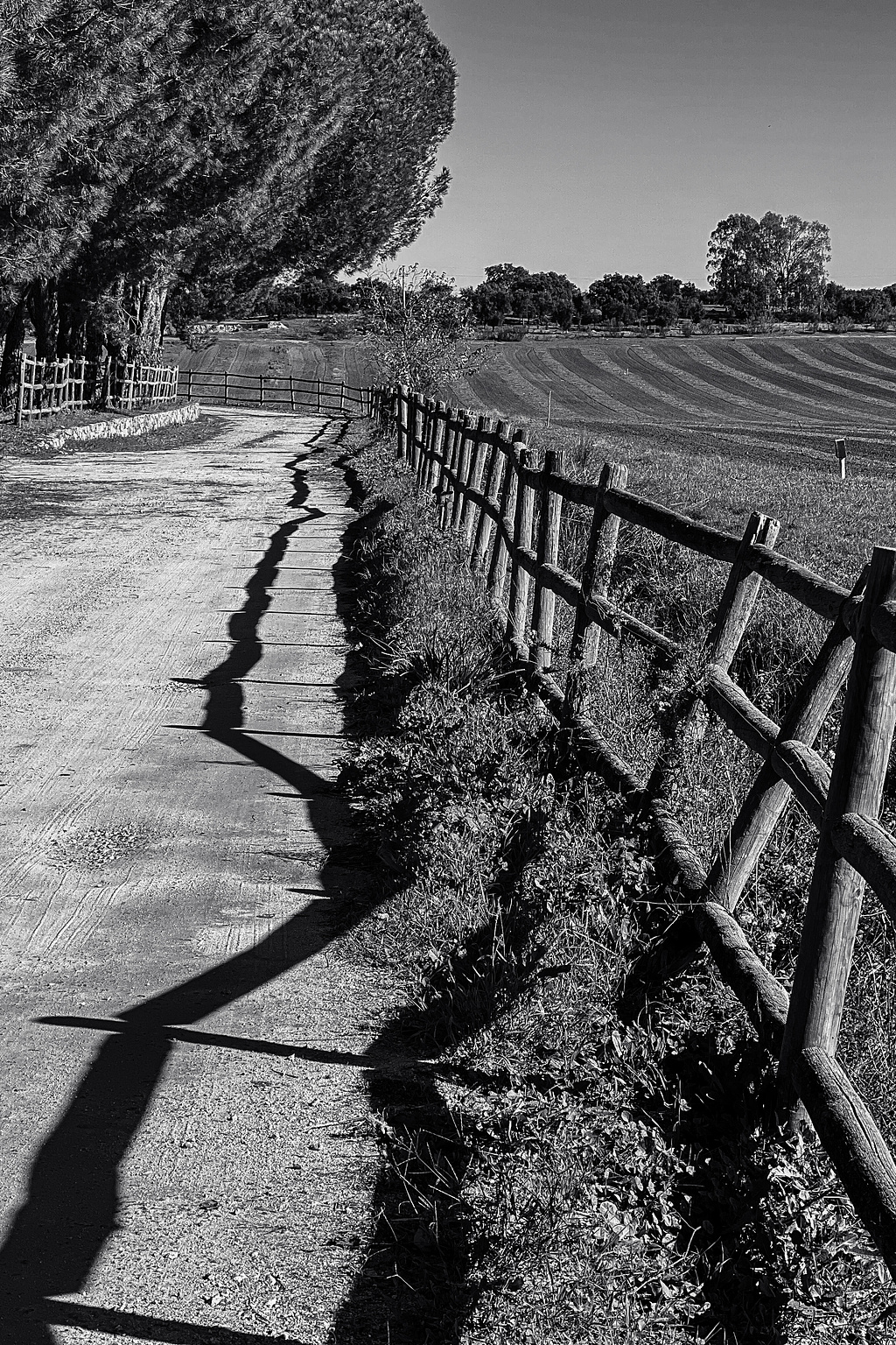 A fence, a dirt path, and farmed fields.