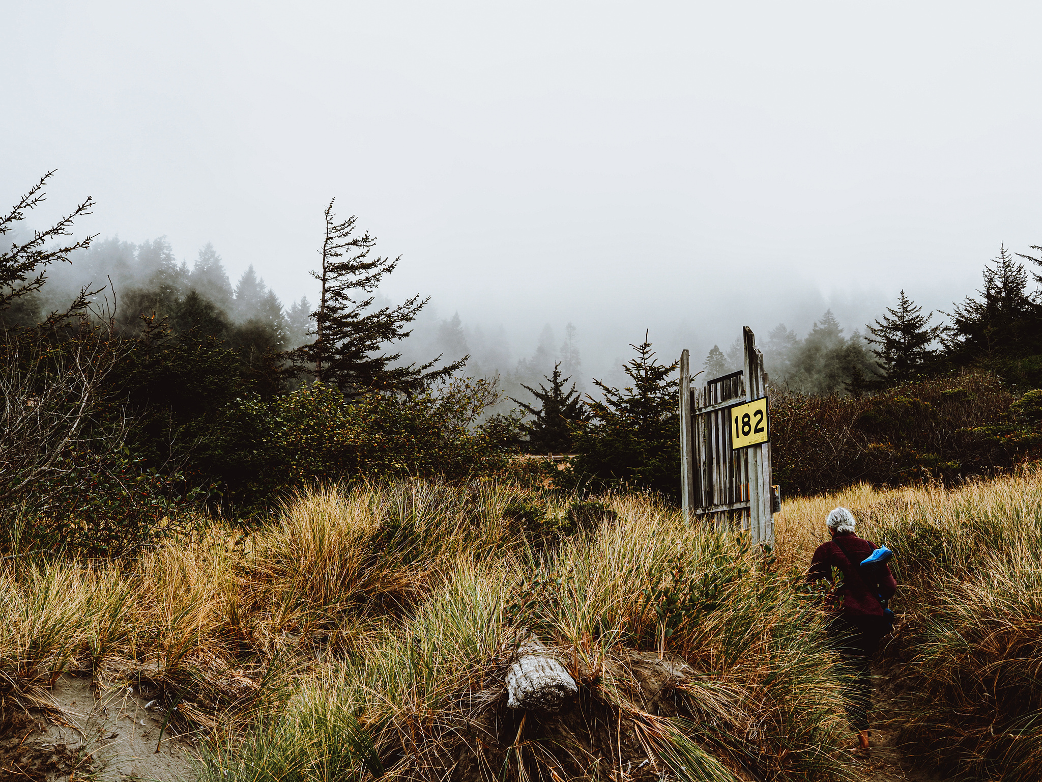 A woman walks up a sandy hill covered in sea grass, a yellow exit sign reads "182"