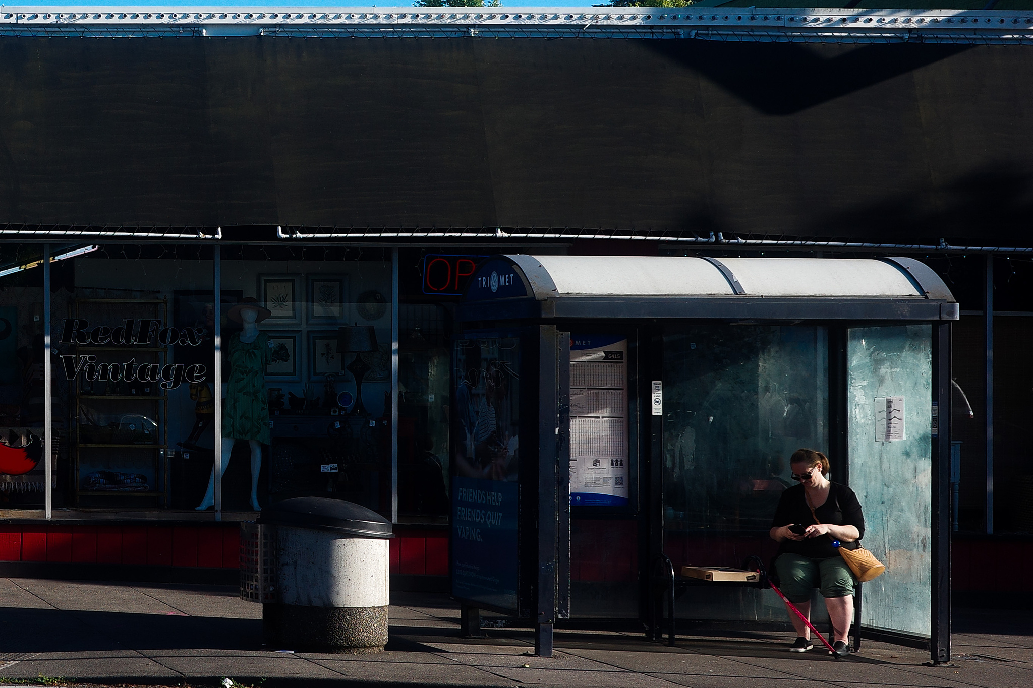 A woman sits alone with her phone at a bus stop. 