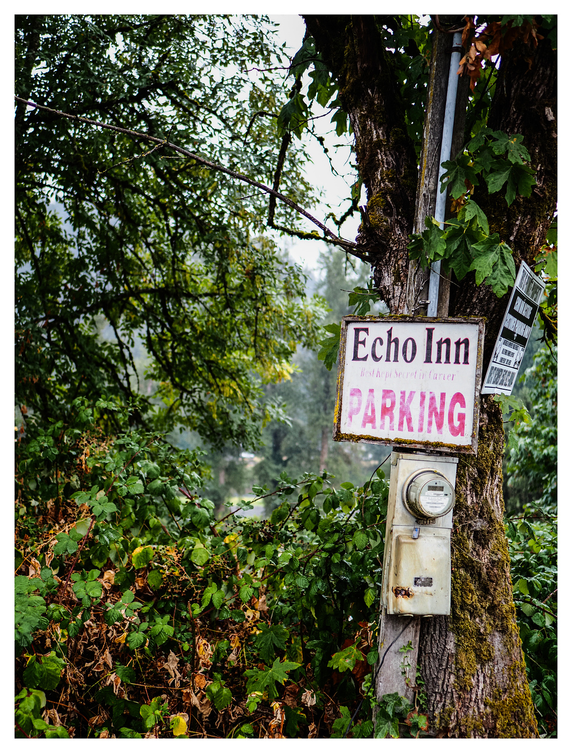 A white sign that reads "Echo Inn Parking" over a rusted power meter, affixed to a post leaning against a tree.