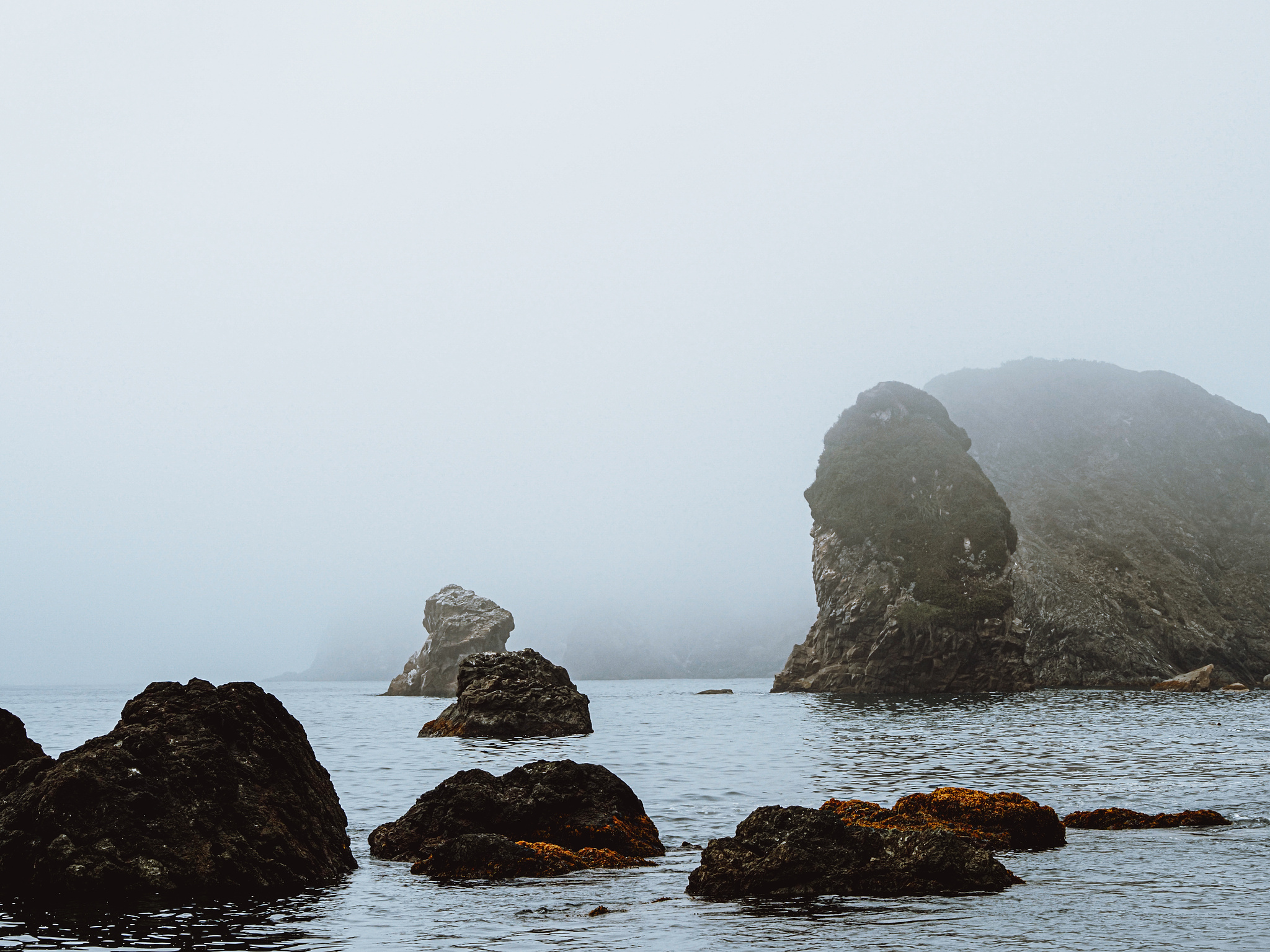 Ocean rocks in the mist