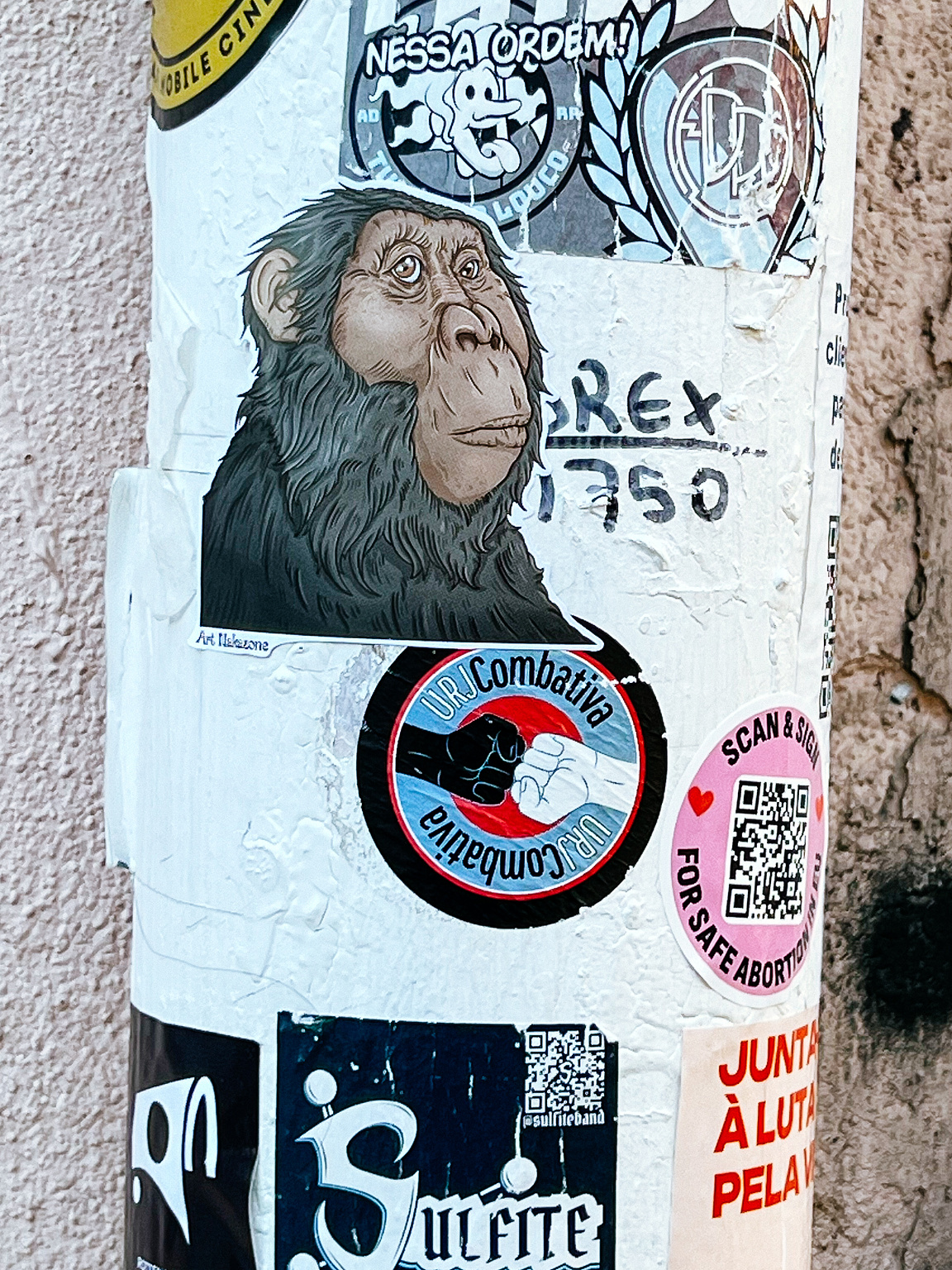 Multiple stickers, inlcuding one of a monkey's face.