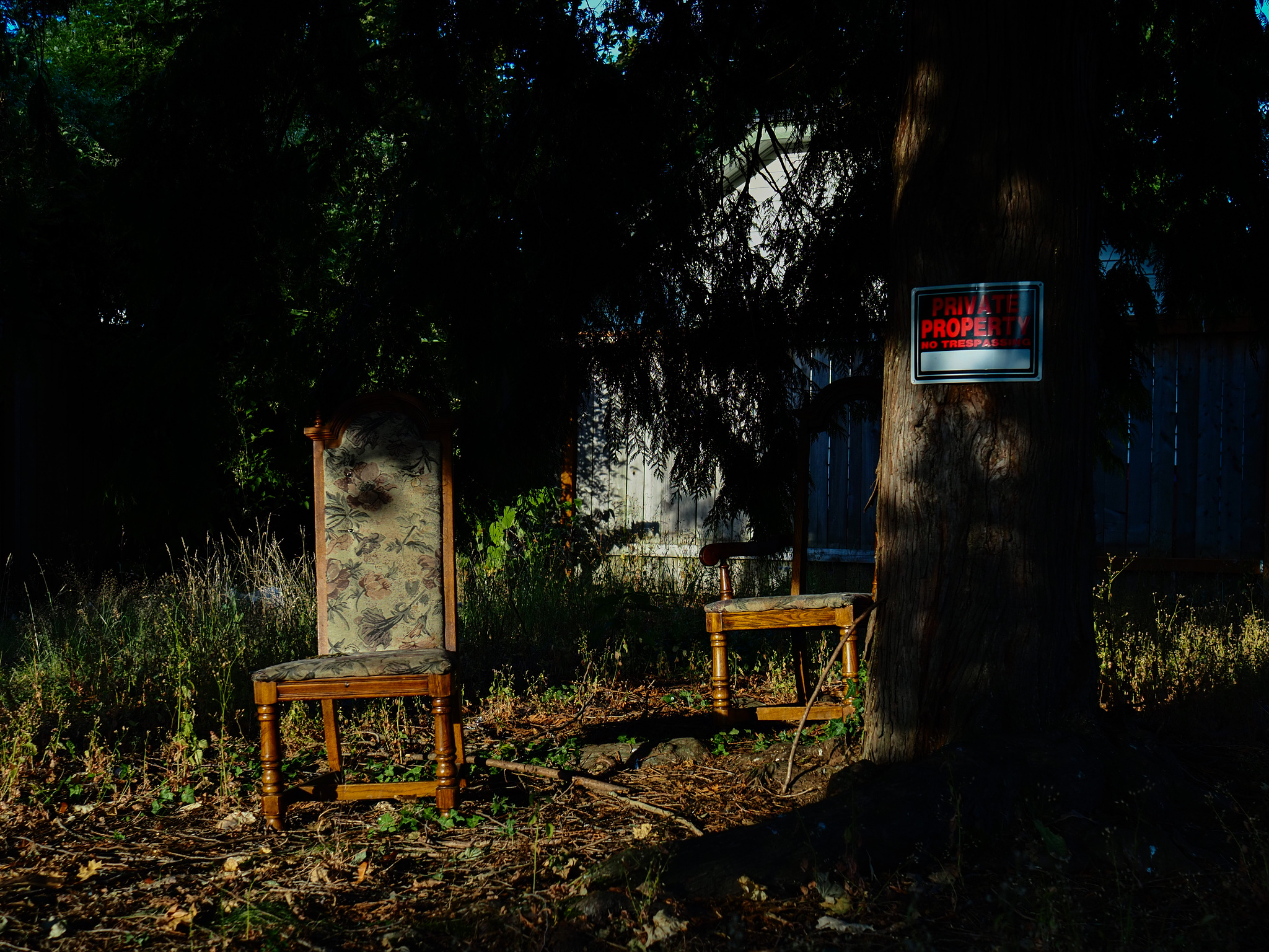 Old upholstered wooden dining chairs under a pine tree with a Private Property sign