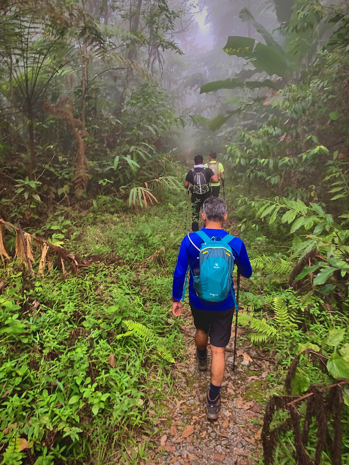 Our hiking team of the day, walking the cloudy trail!