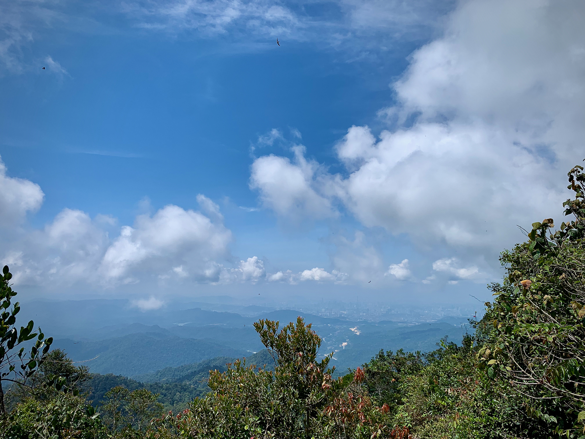 View of the KL City from the summit of Bunga Buah