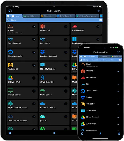 FileBrowser Professional