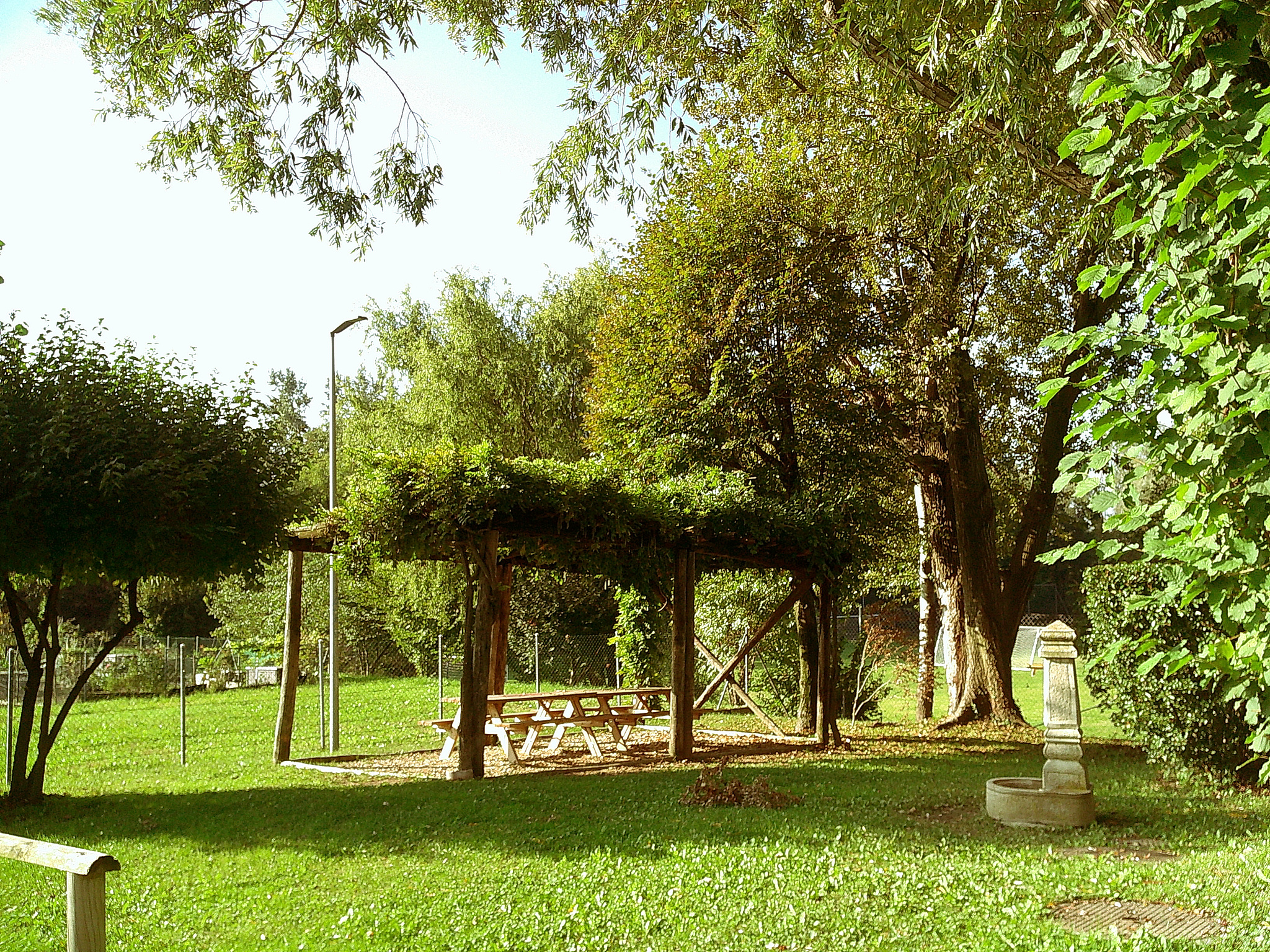 a photo at the park under sunlight