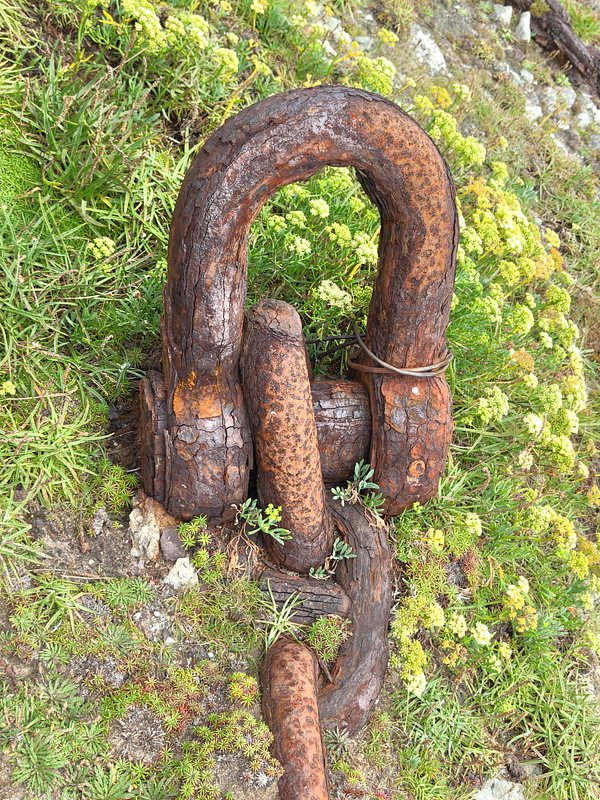 Strong corrosion on a chain stay surrounded by grass, moss and lichen