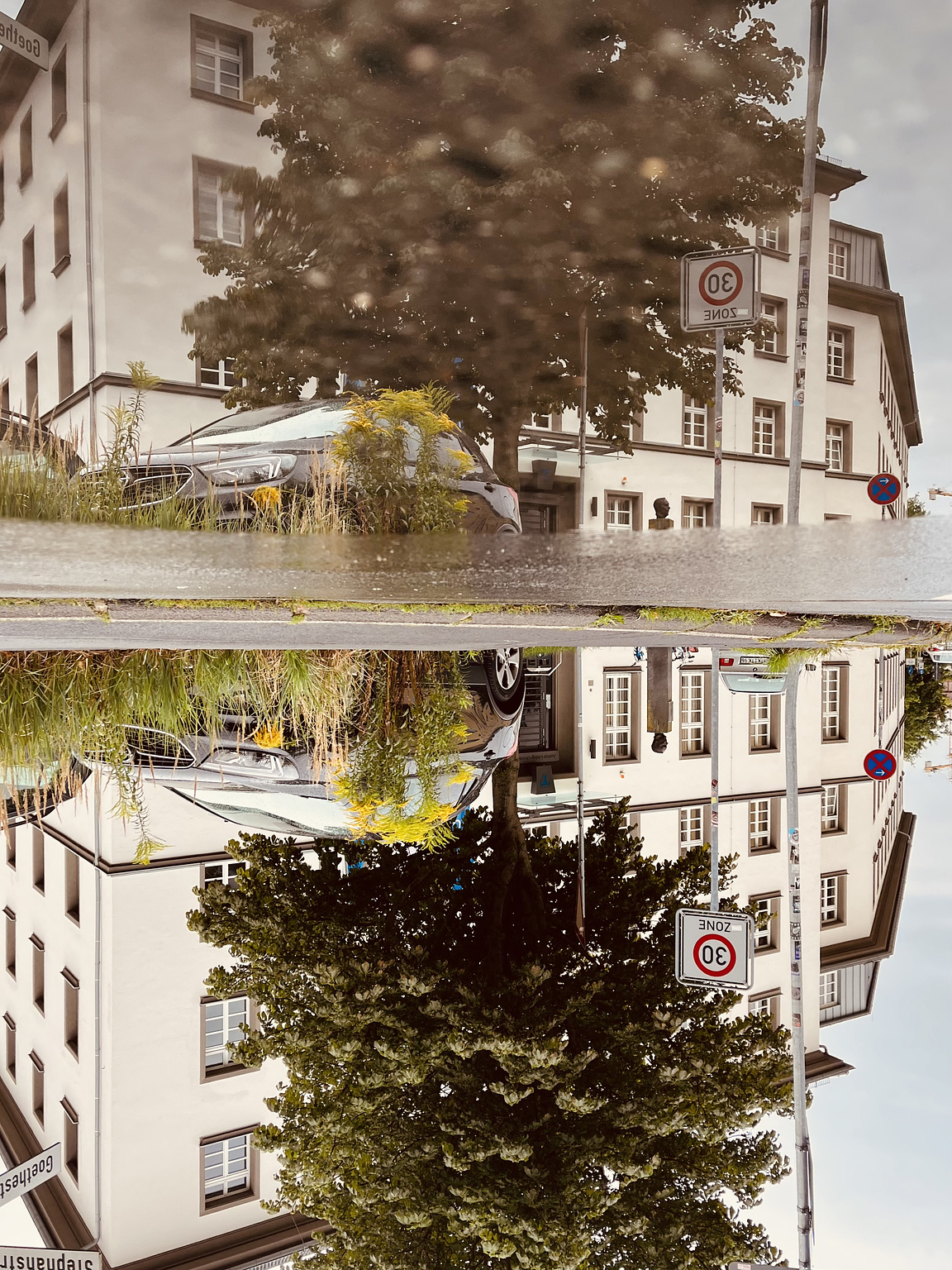White building, a tree, a dark coloured car and yellow flowers, reflected in a puddle on the street. The picture is turned upsidedown.
