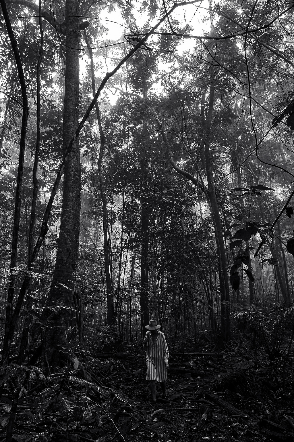 A woman walking in the forest.