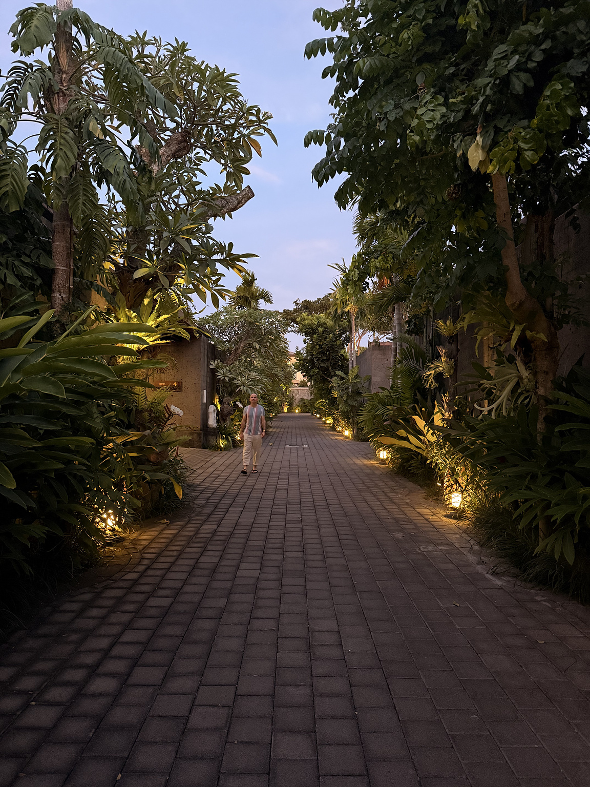 Person walking down a cobblestone pathway lined with illuminated tropical trees, creating a serene, evening atmosphere.