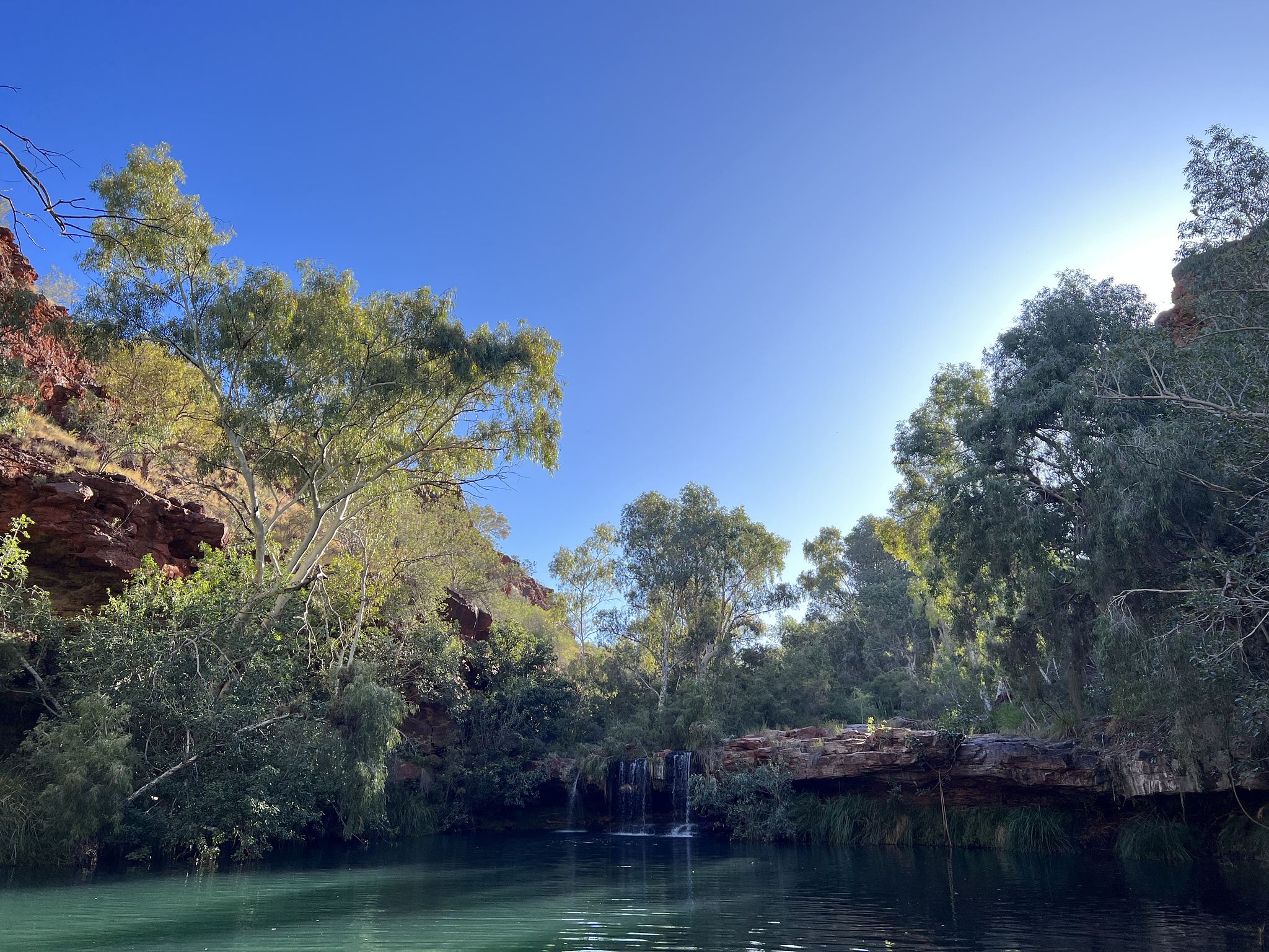 Fern Pool, Dales Gorge