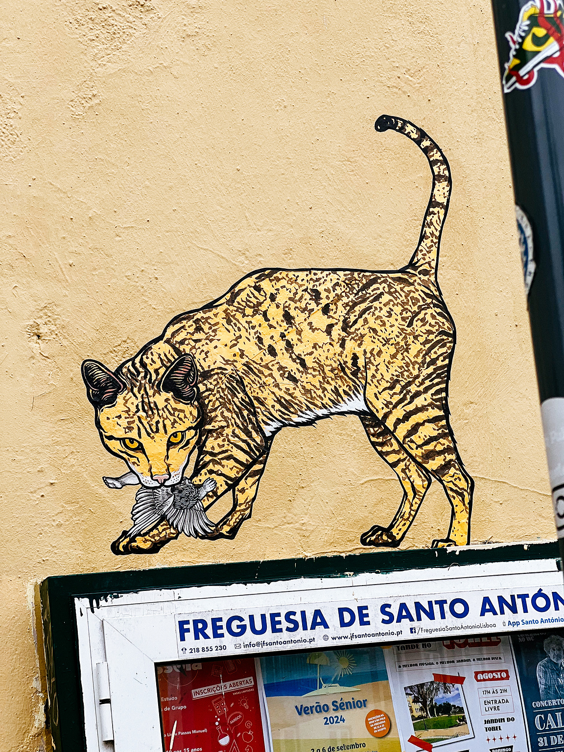 A feline eating a pigeon. 