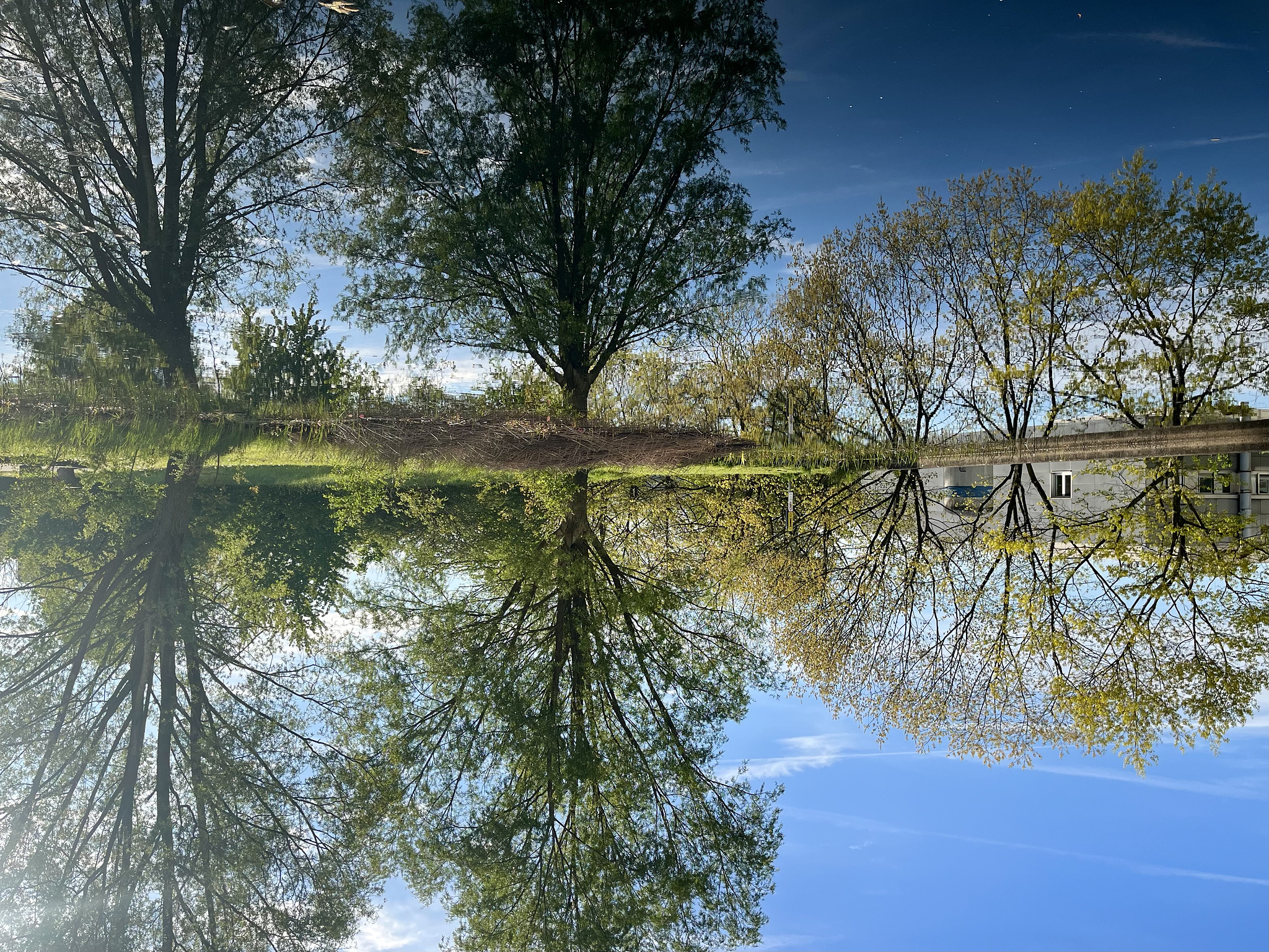 Naturwissenschaften, JLU, Teich