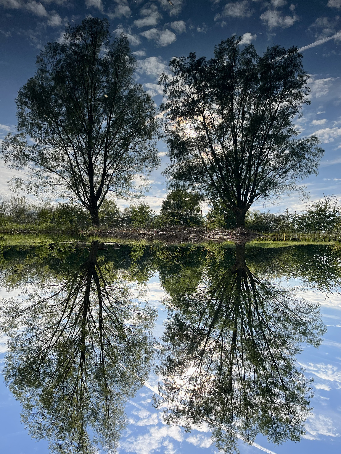 JLU, Naturwissenschaften, Teich