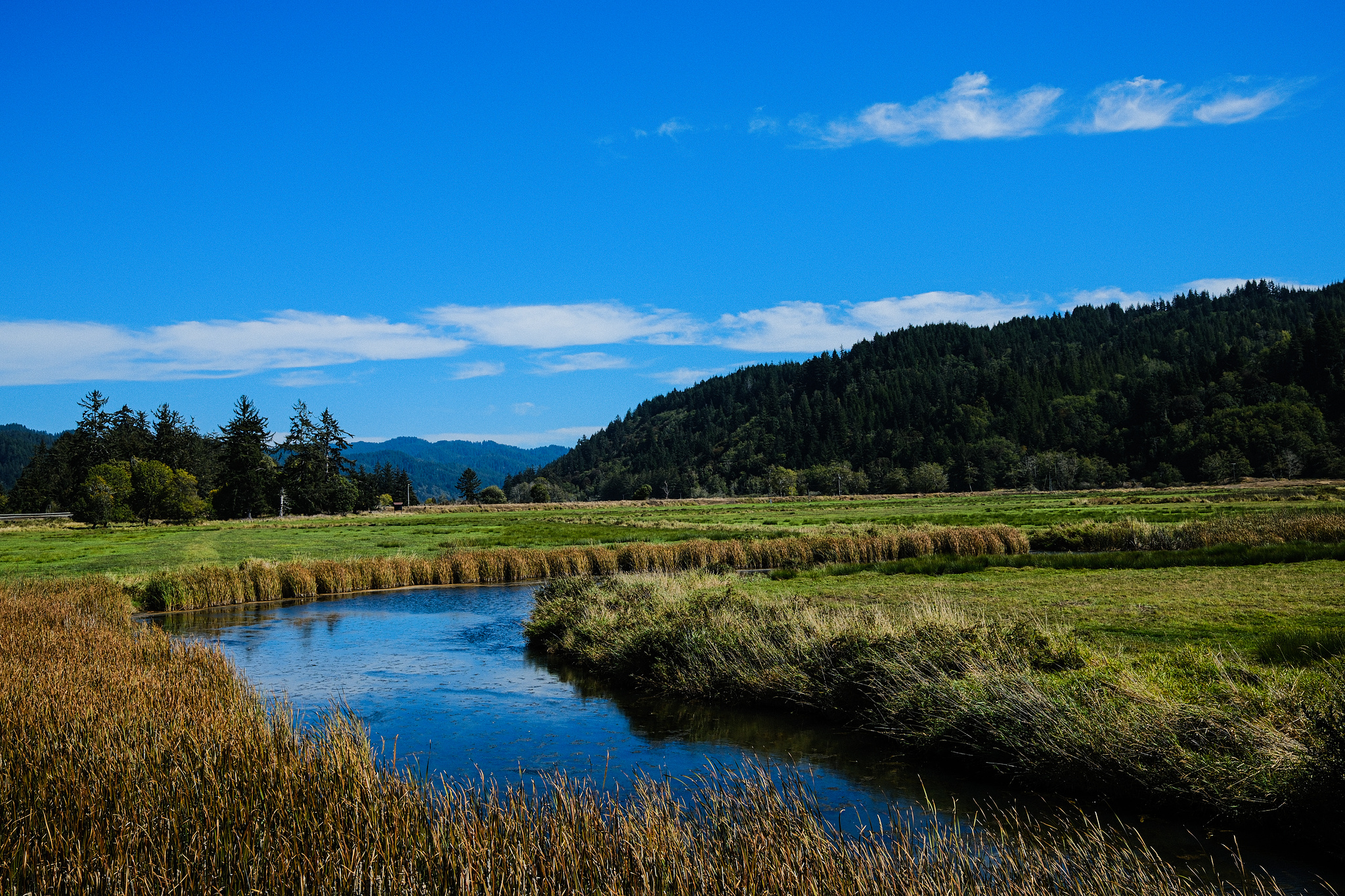 Elk Viewing area, somewhere outside Elkton, OR