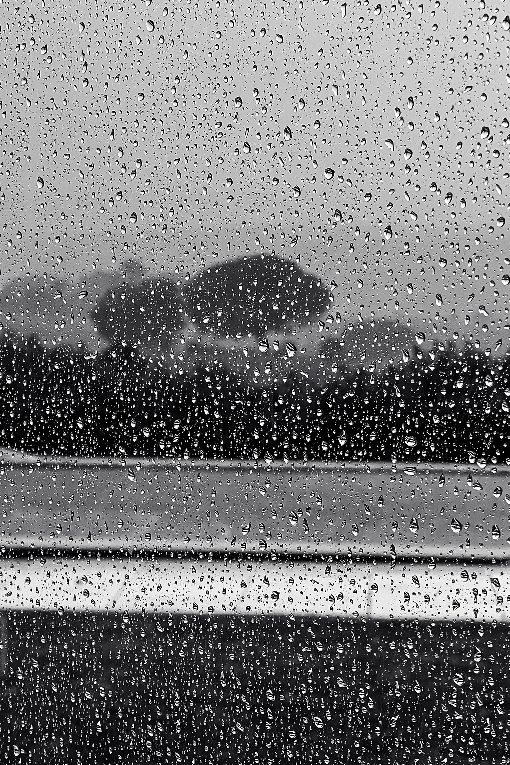 Rain on a window. 