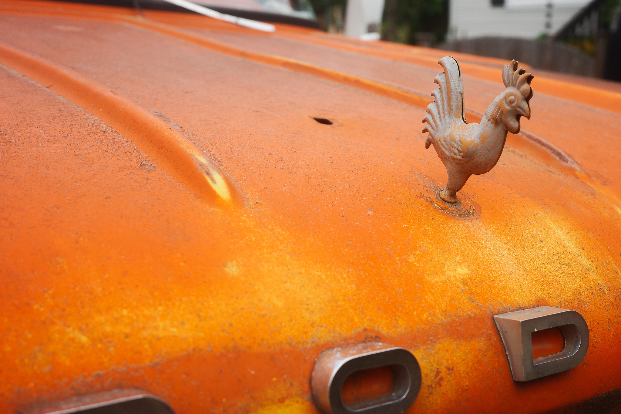 Hood ornament