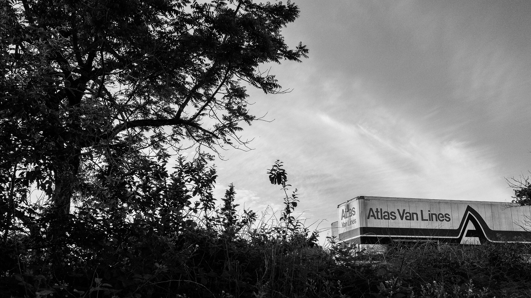 Monochrome. An Atlas Van Lines trailer poking up from the underbrush.