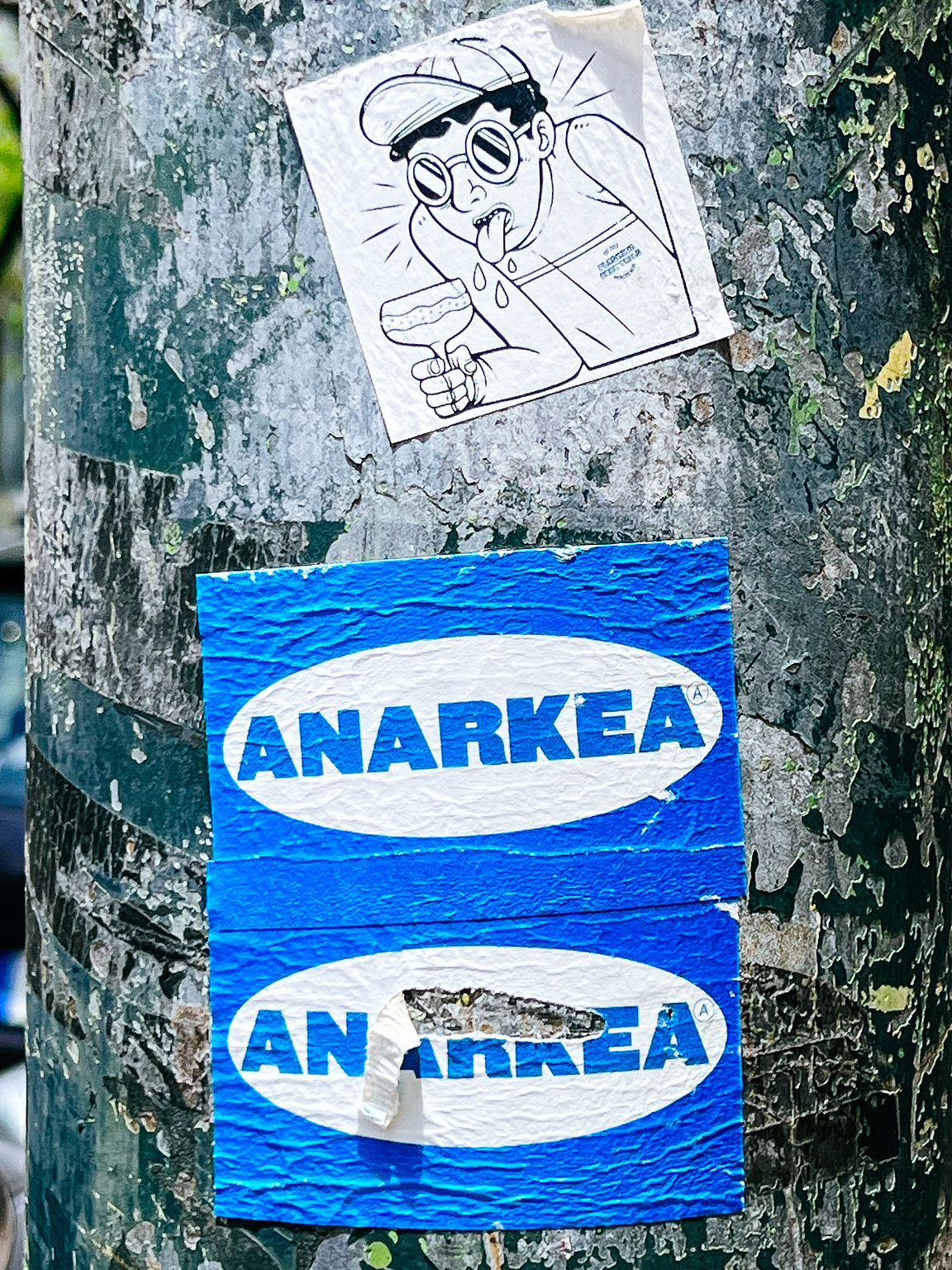 Stickers on a textured tree trunk; one is a cartoon figure with cocktail, the others reads "ANARKEA".