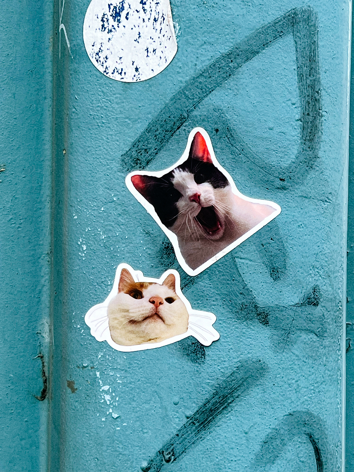 Cat stickers.